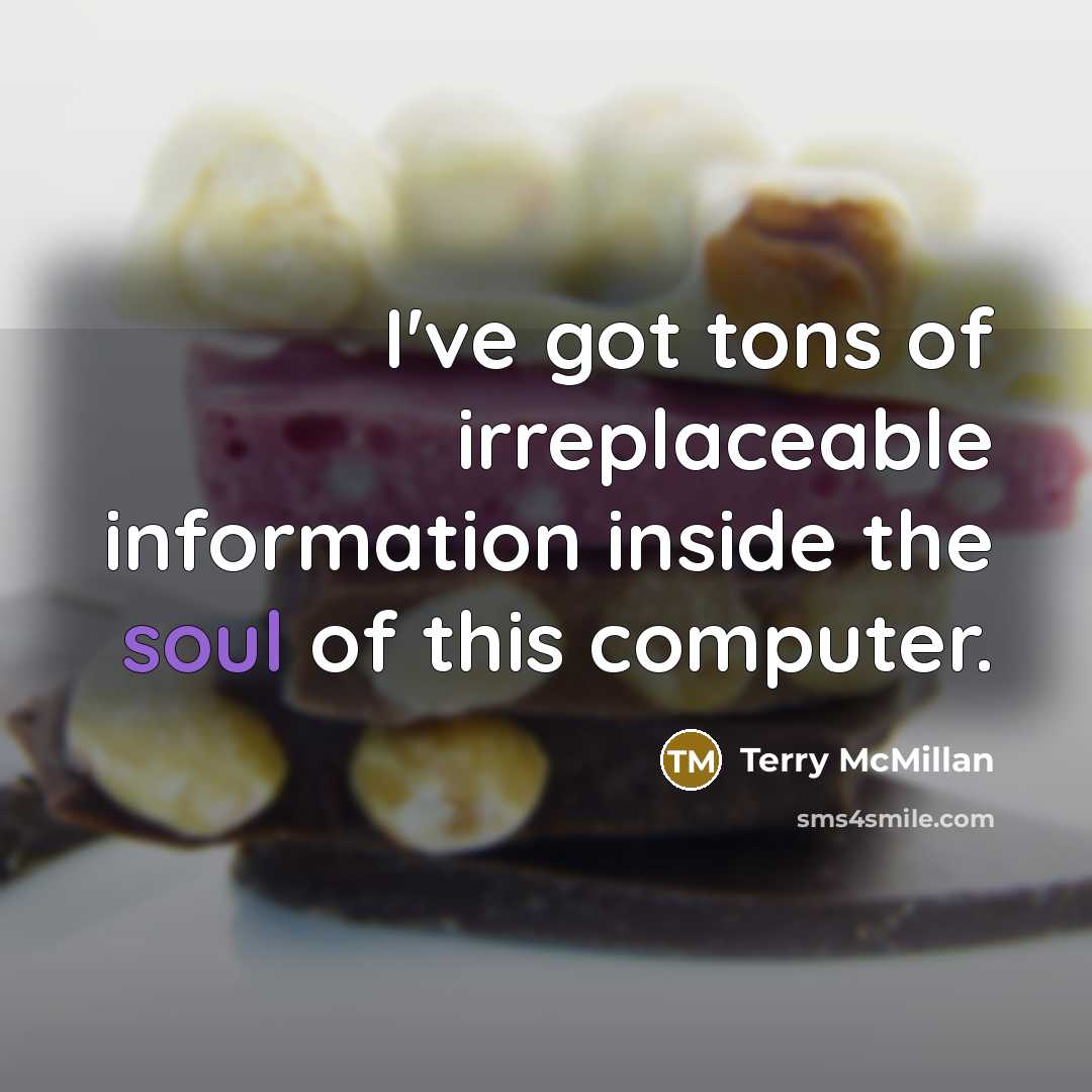 “I've got tons of irreplaceable information inside the soul of this computer.” quote by Terry McMillan