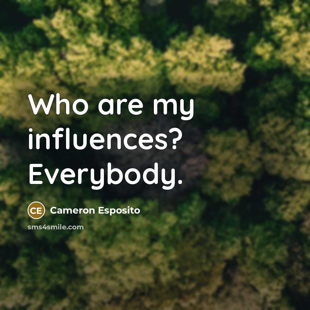 “Who are my influences? Everybody.” quote by Cameron Esposito