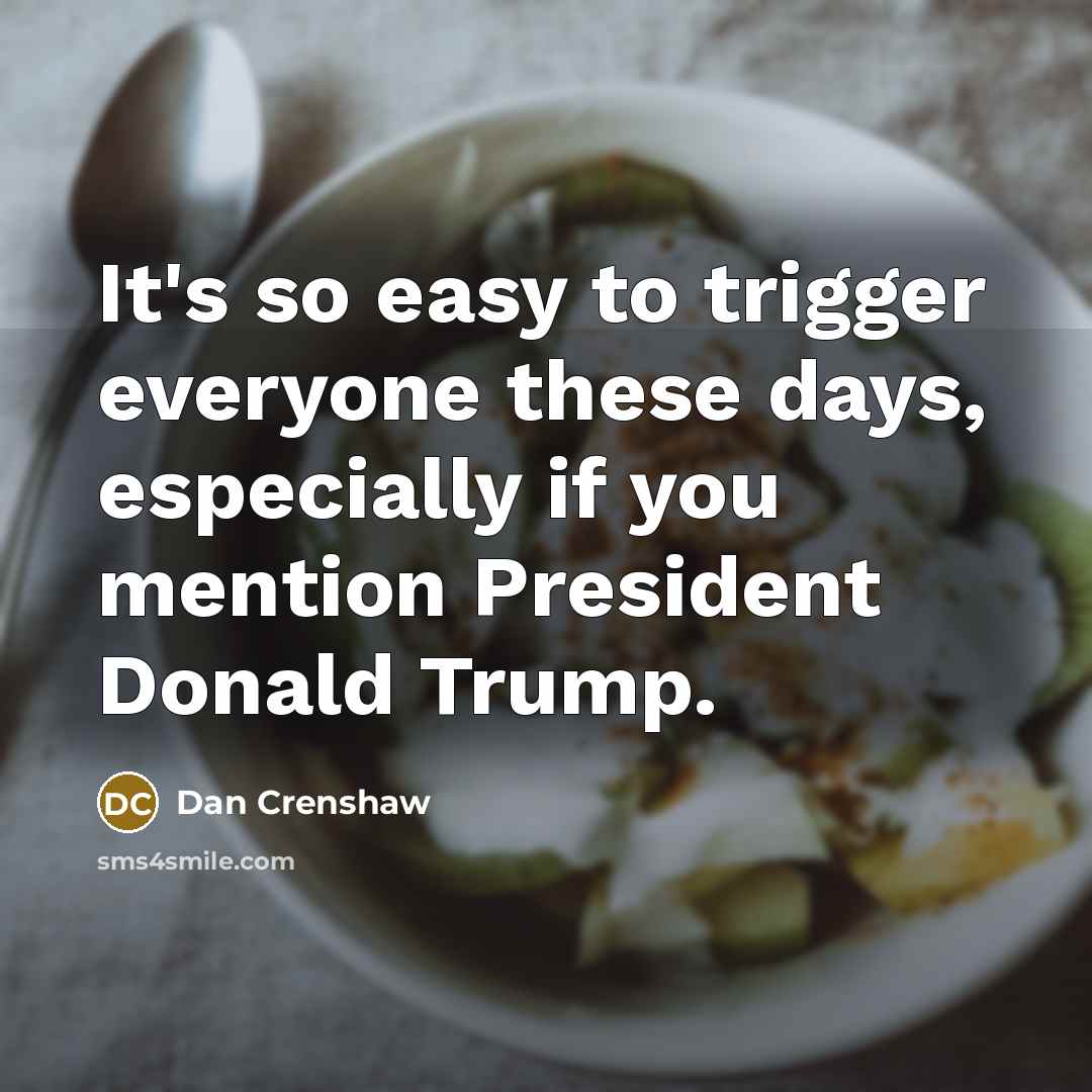 “It's so easy to trigger everyone these days, especially if you mention President Donald Trump.” quote by Dan Crenshaw