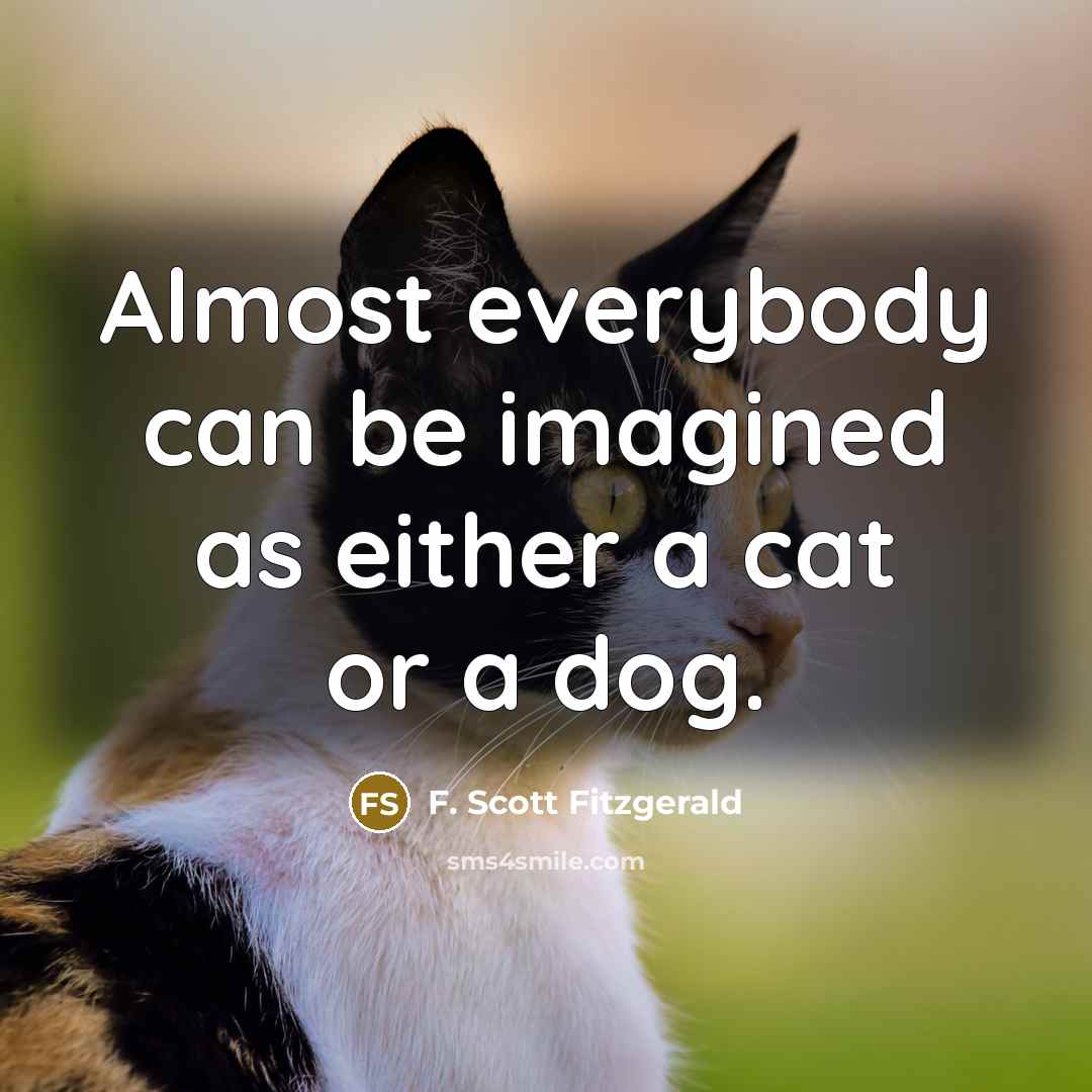 “Almost everybody can be imagined as either a cat or a dog.” quote by F. Scott Fitzgerald