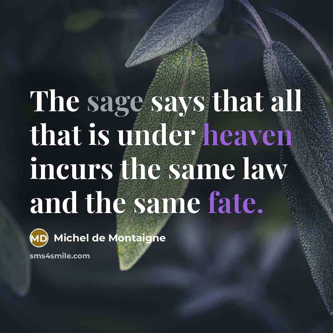 “The sage says that all that is under heaven incurs the same law and the same fate.” quote by Michel de Montaigne