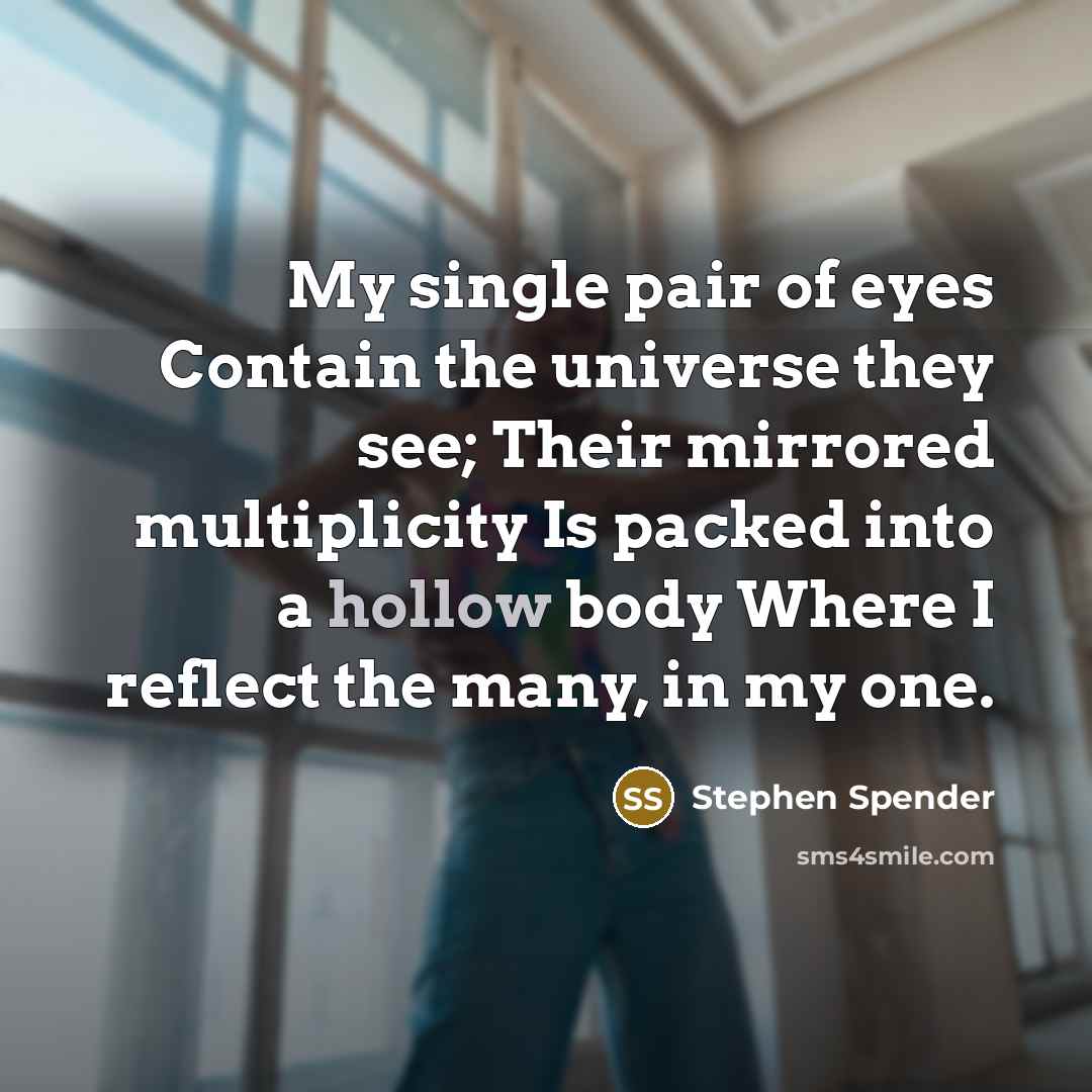 “My single pair of eyes Contain the universe they see; Their mirrored multiplicity Is packed into a hollow body Where I reflect the many, in my one.” quote by Stephen Spender