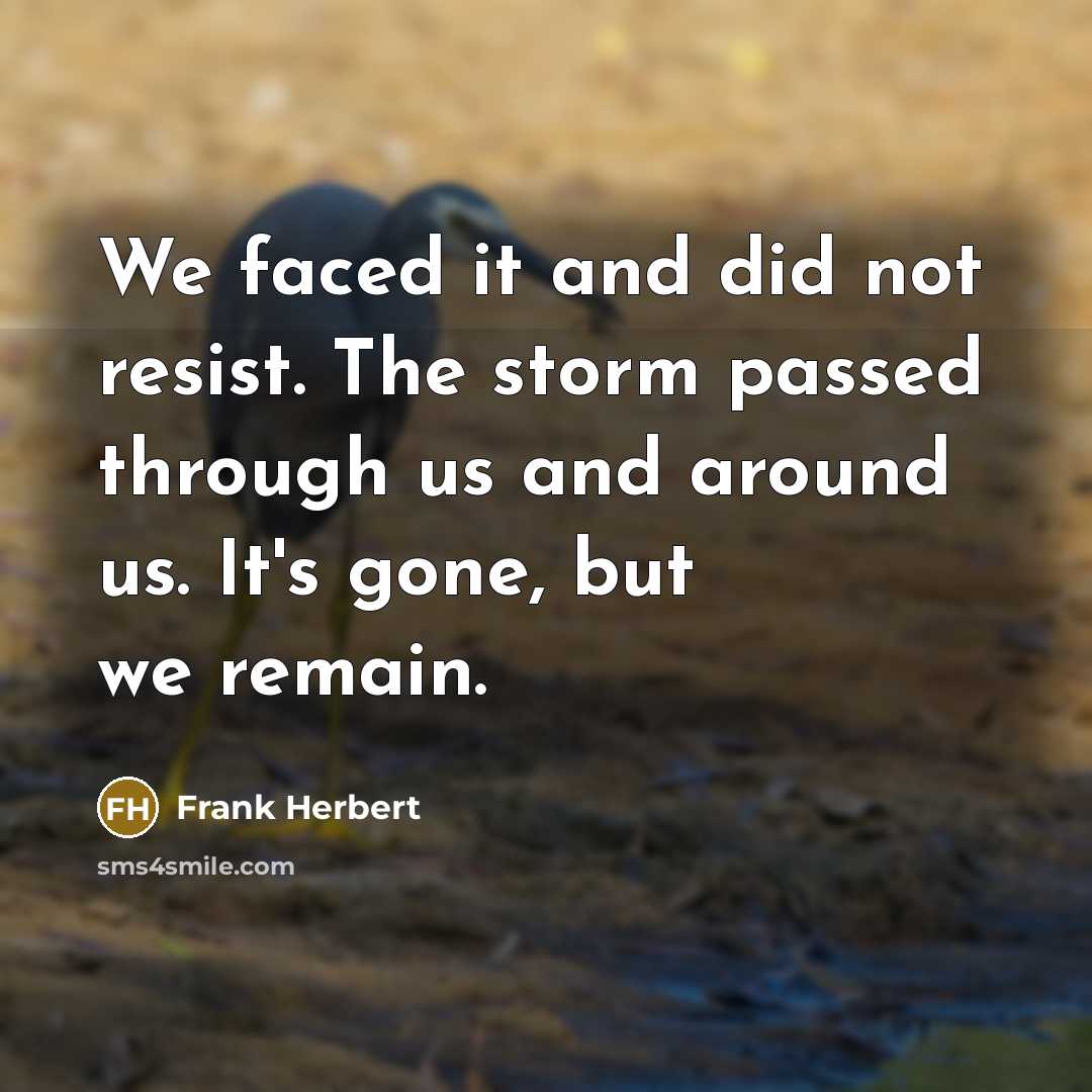 “We faced it and did not resist. The storm passed through us and around us. It's gone, but we remain.” quote by Frank Herbert