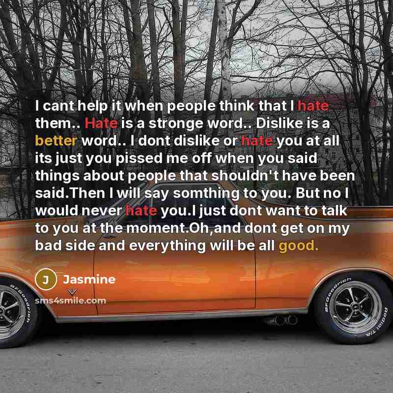 “I cant help it when people think that I hate them.. Hate is a stronge word.. Dislike is a better word.. I dont dislike or hate you at all its just you pissed me off when you said things about people that shouldn't have been said.Then I will say somthing to you. But no I would never hate you.I just…” quote by Jasmine