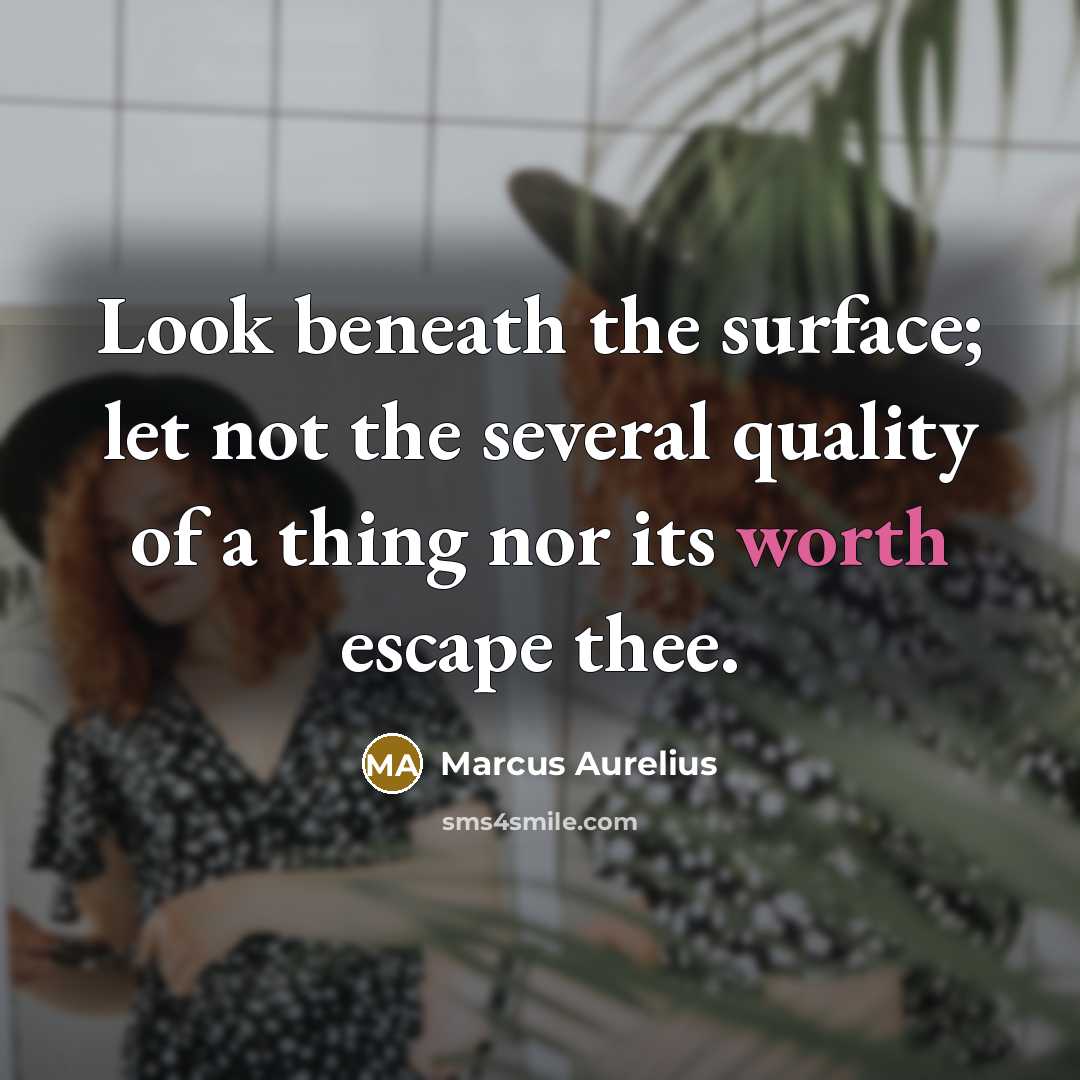 “Look beneath the surface; let not the several quality of a thing nor its worth escape thee.” quote by Marcus Aurelius