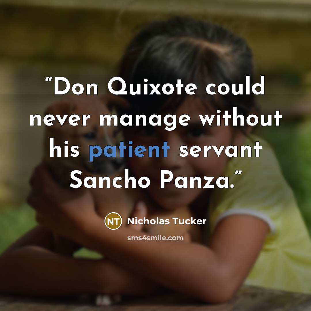 “Don Quixote could never manage without his patient servant Sancho Panza.” quote by Nicholas Tucker