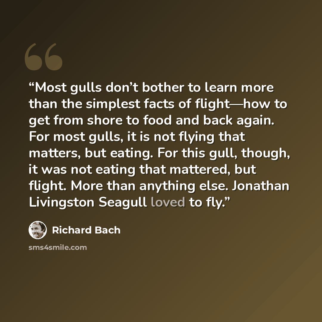 “Most gulls don’t bother to learn more than the simplest facts of flight—how to get from shore to food and back again. For most gulls, it is not flying that matters, but eating. For this gull, though, it was not eating that mattered, but flight. More than anything else. Jonathan Livingston Seagull…” quote by Richard Bach