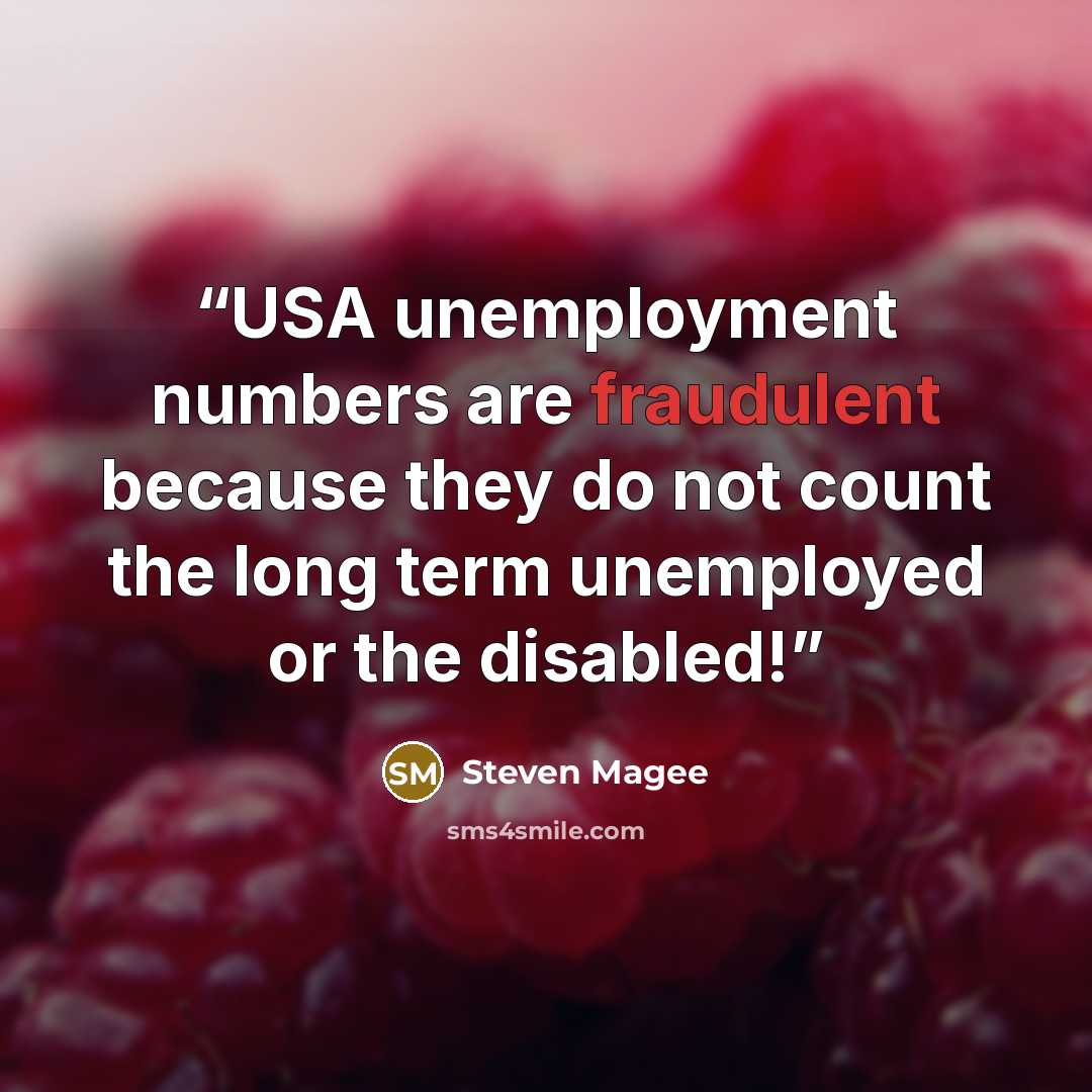 “USA unemployment numbers are fraudulent because they do not count the long term unemployed or the disabled!” quote by Steven Magee