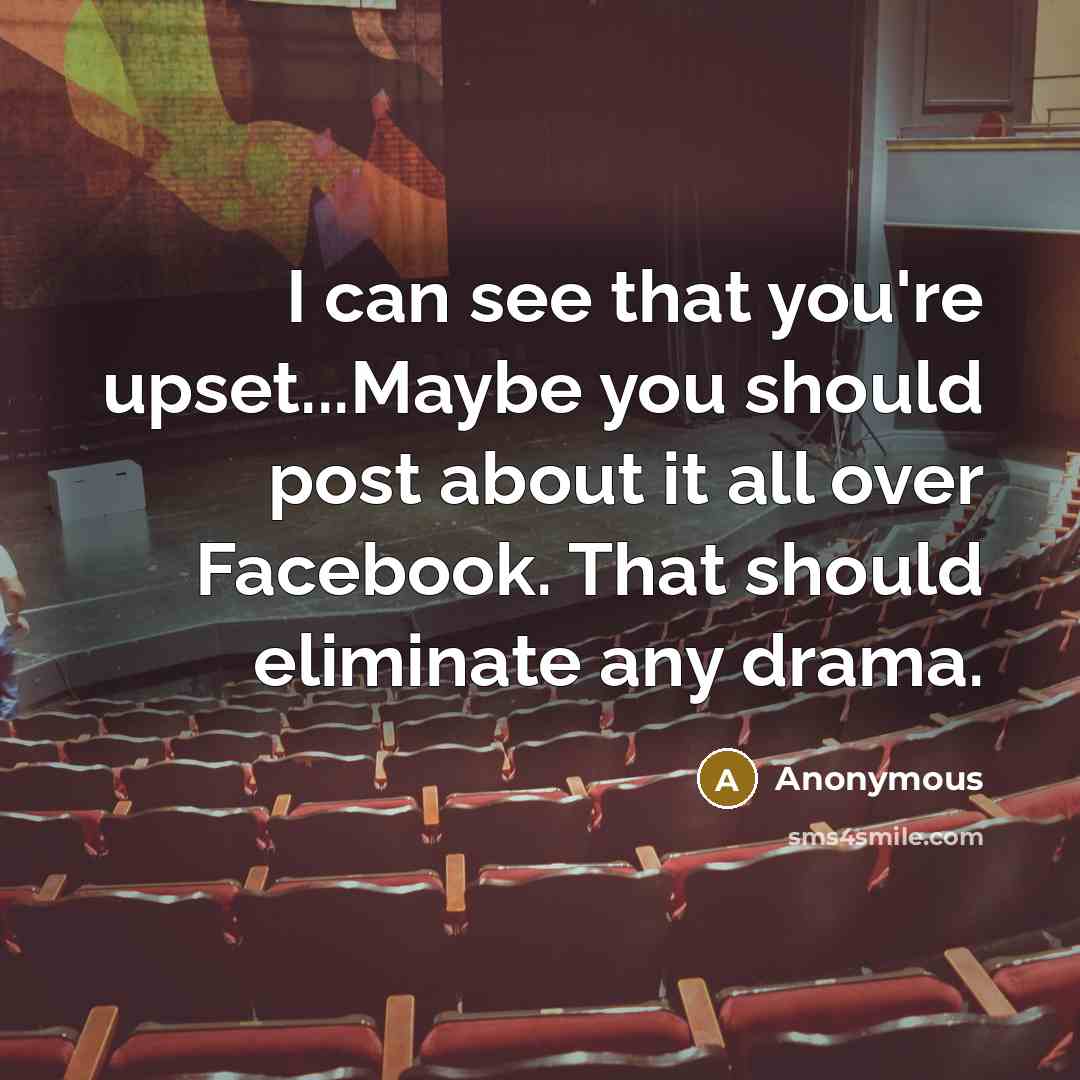 “I can see that you're upset...Maybe you should post about it all over Facebook. That should eliminate any drama.” quote by Anonymous