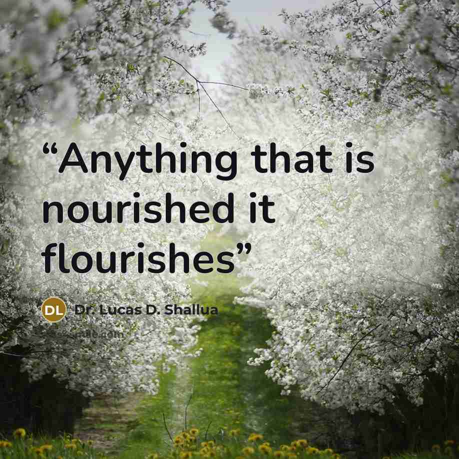 “Anything that is nourished it flourishes” quote by Dr. Lucas D. Shallua