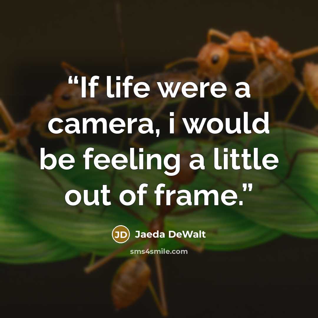 “If life were a camera, i would be feeling a little out of frame.” quote by Jaeda DeWalt