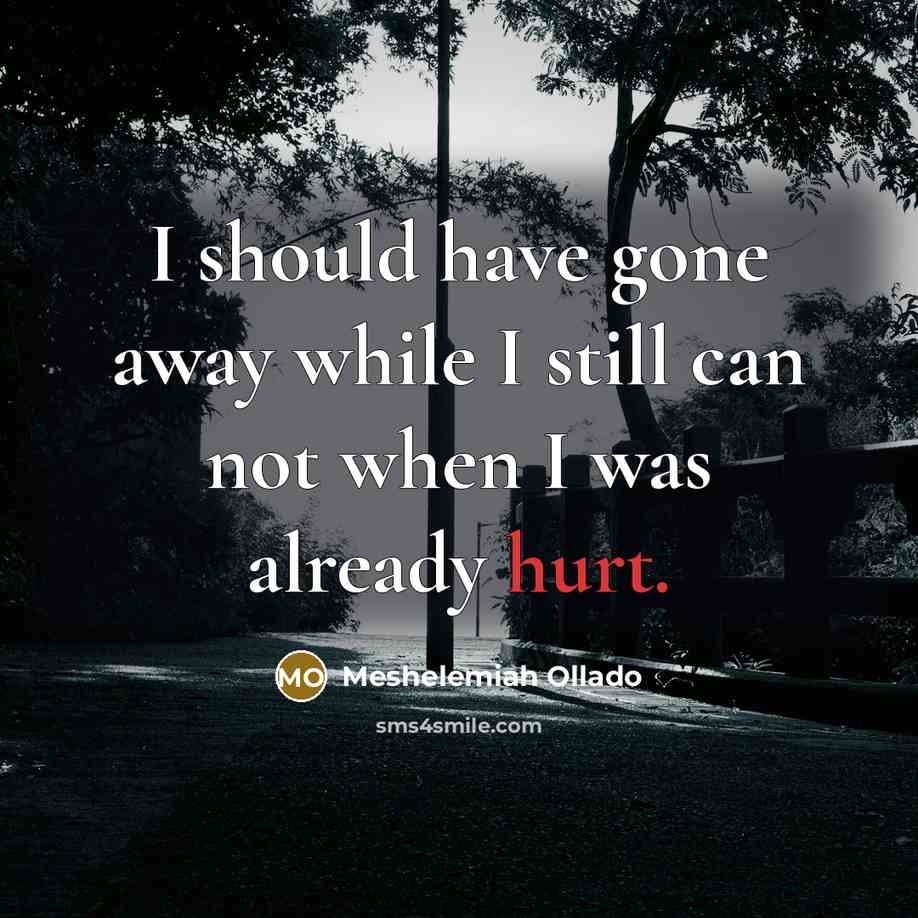 “I should have gone away while I still can not when I was already hurt.” quote by Meshelemiah Ollado