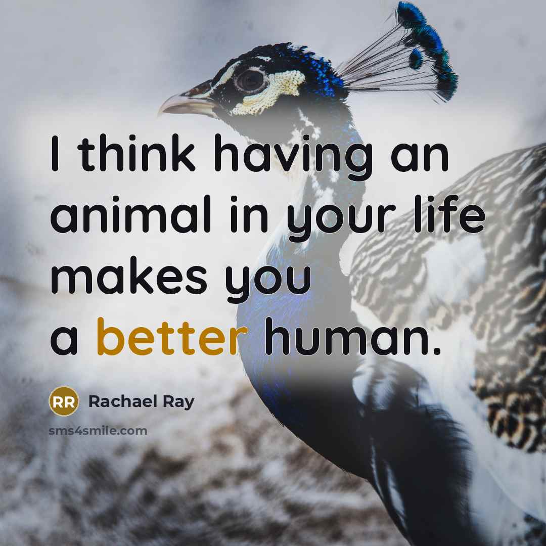 “I think having an animal in your life makes you a better human.” quote by Rachael Ray