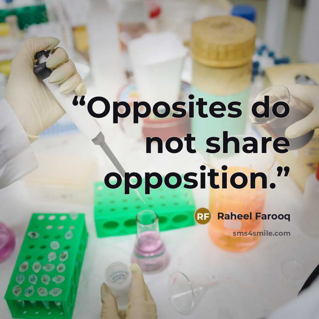 “Opposites do not share opposition.” quote by Raheel Farooq