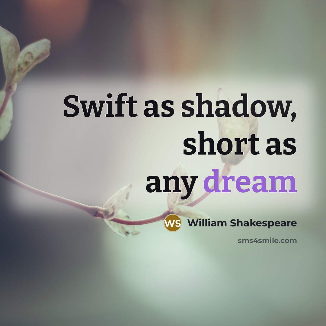 “Swift as shadow, short as any dream” quote by William Shakespeare