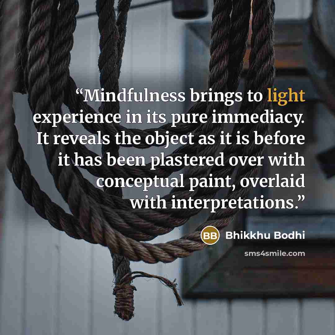 “Mindfulness brings to light experience in its pure immediacy. It reveals the object as it is before it has been plastered over with conceptual paint, overlaid with interpretations.” quote by Bhikkhu Bodhi
