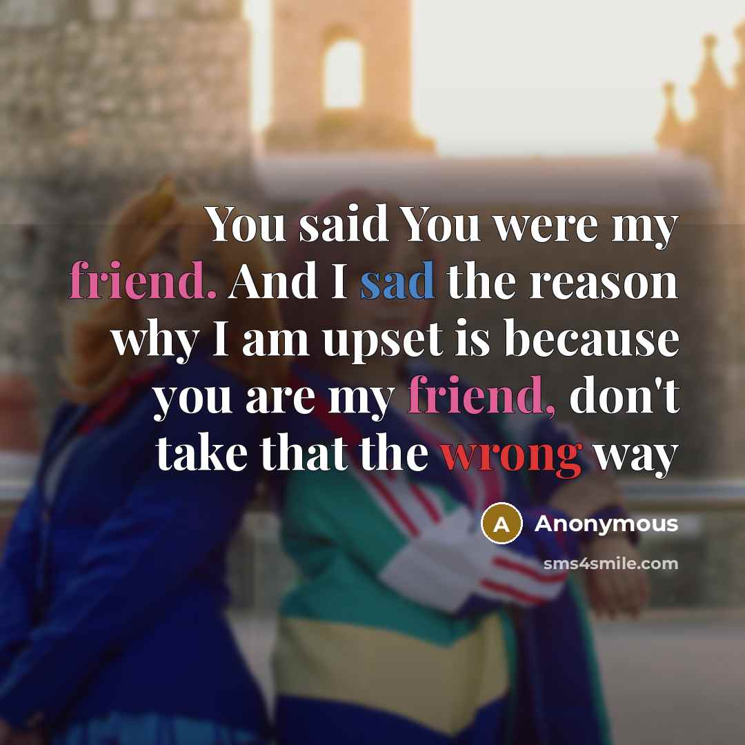 “You said You were my friend. And I sad the reason why I am upset is because you are my friend, don't take that the wrong way” quote by Anonymous
