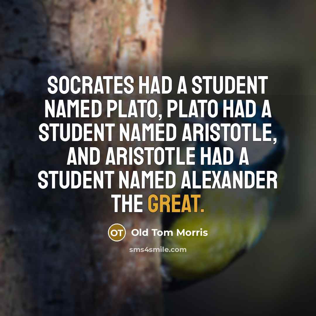 “Socrates had a student named Plato, Plato had a student named Aristotle, and Aristotle had a student named Alexander the Great.” quote by Old Tom Morris