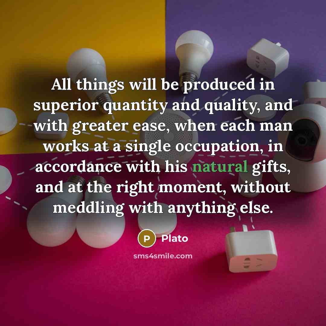 “All things will be produced in superior quantity and quality, and with greater ease, when each man works at a single occupation, in accordance with his natural gifts, and at the right moment, without meddling with anything else.” quote by Plato
