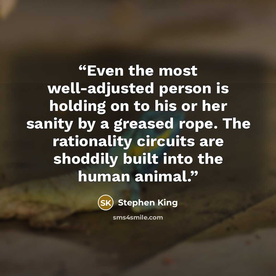 “Even the most well-adjusted person is holding on to his or her sanity by a greased rope. The rationality circuits are shoddily built into the human animal.” quote by Stephen King