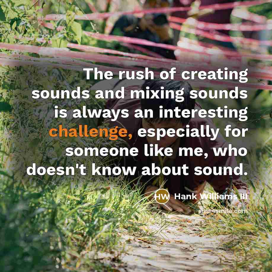 “The rush of creating sounds and mixing sounds is always an interesting challenge, especially for someone like me, who doesn't know about sound.” quote by Hank Williams III