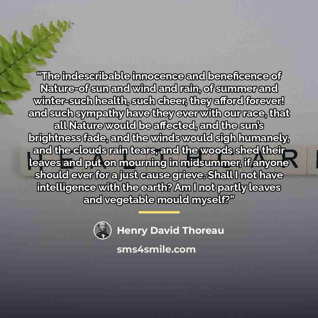 “The indescribable innocence and beneficence of Nature-of sun and wind and rain, of summer and winter-such health, such cheer, they afford forever! and such sympathy have they ever with our race, that all Nature would be affected, and the sun’s brightness fade, and the winds would sigh humanely…” quote by henry david thoreau