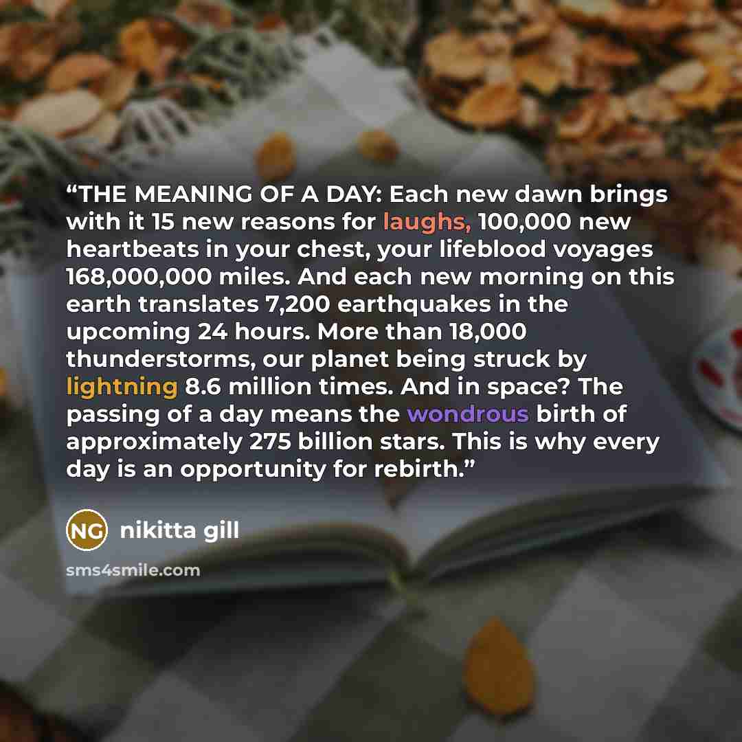 “THE MEANING OF A DAY: Each new dawn brings with it 15 new reasons for laughs, 100,000 new heartbeats in your chest, your lifeblood voyages 168,000,000 miles. And each new morning on this earth translates 7,200 earthquakes in the upcoming 24 hours. More than 18,000 thunderstorms, our planet being…” quote by nikitta gill