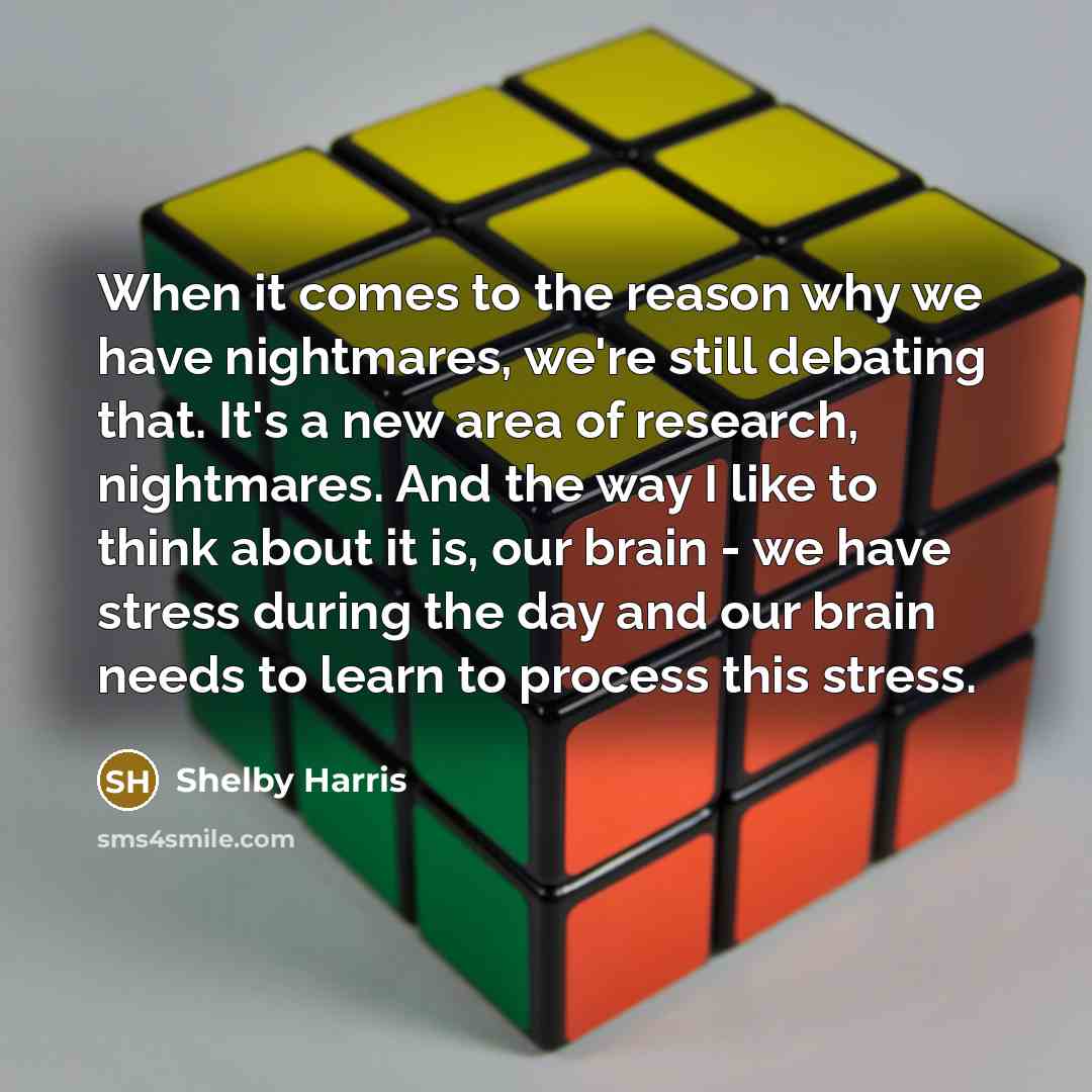 “When it comes to the reason why we have nightmares, we're still debating that. It's a new area of research, nightmares. And the way I like to think about it is, our brain - we have stress during the day and our brain needs to learn to process this stress.” quote by Shelby Harris