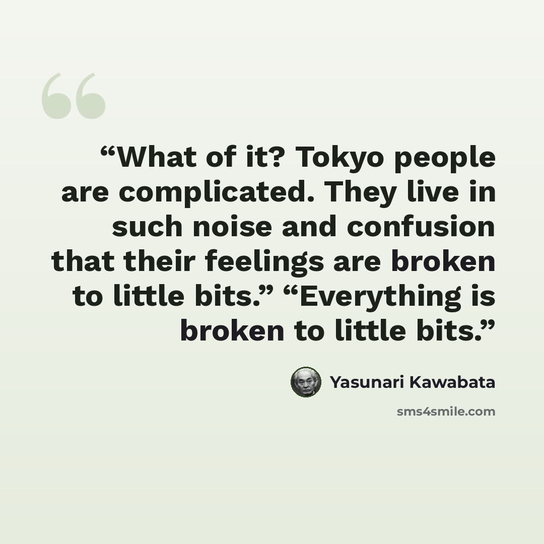 “What of it? Tokyo people are complicated. They live in such noise and confusion that their feelings are broken to little bits.” “Everything is broken to little bits.” quote by Yasunari Kawabata