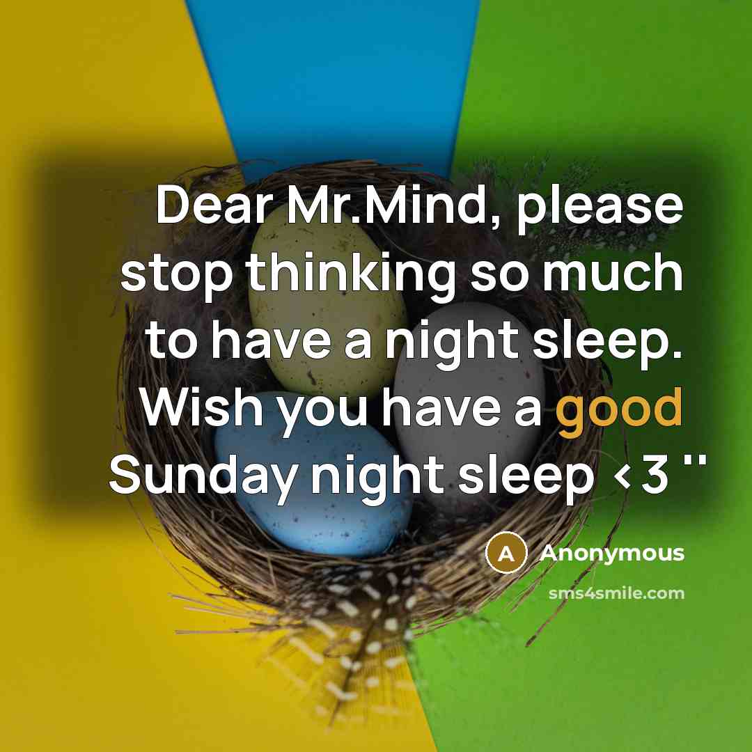 “Dear Mr.Mind, please stop thinking so much to have a night sleep. Wish you have a good Sunday night sleep” quote by Anonymous
