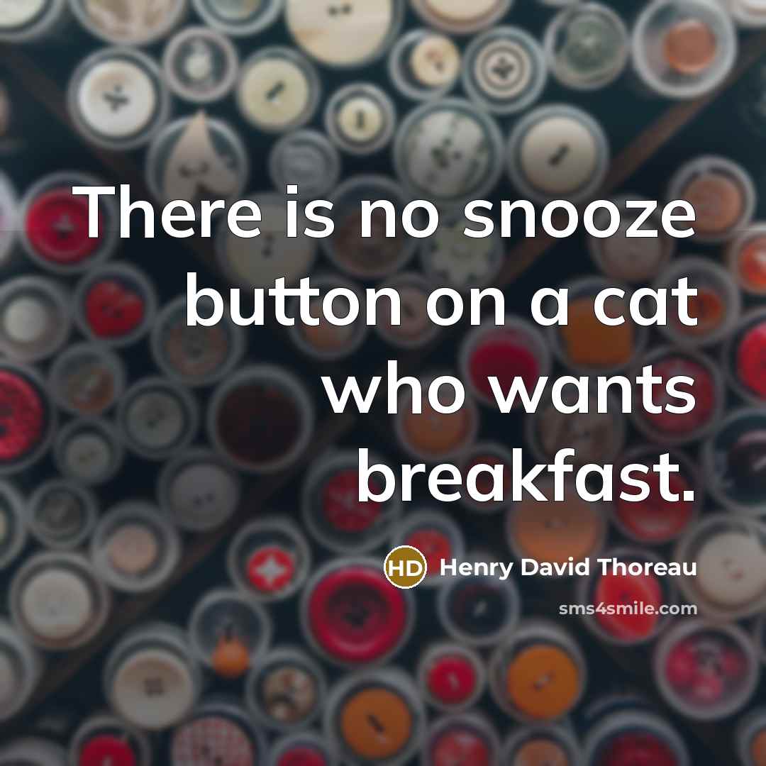 “There is no snooze button on a cat who wants breakfast.” quote by Henry David Thoreau
