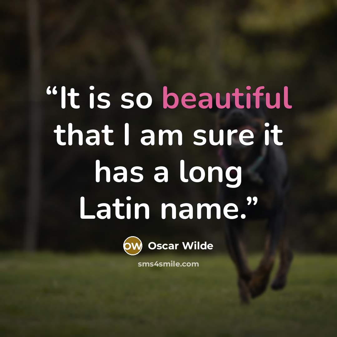 “It is so beautiful that I am sure it has a long Latin name.” quote by Oscar Wilde