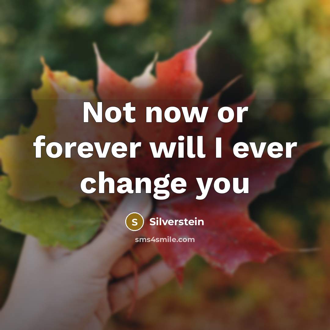 “Not now or forever will I ever change you” quote by Silverstein