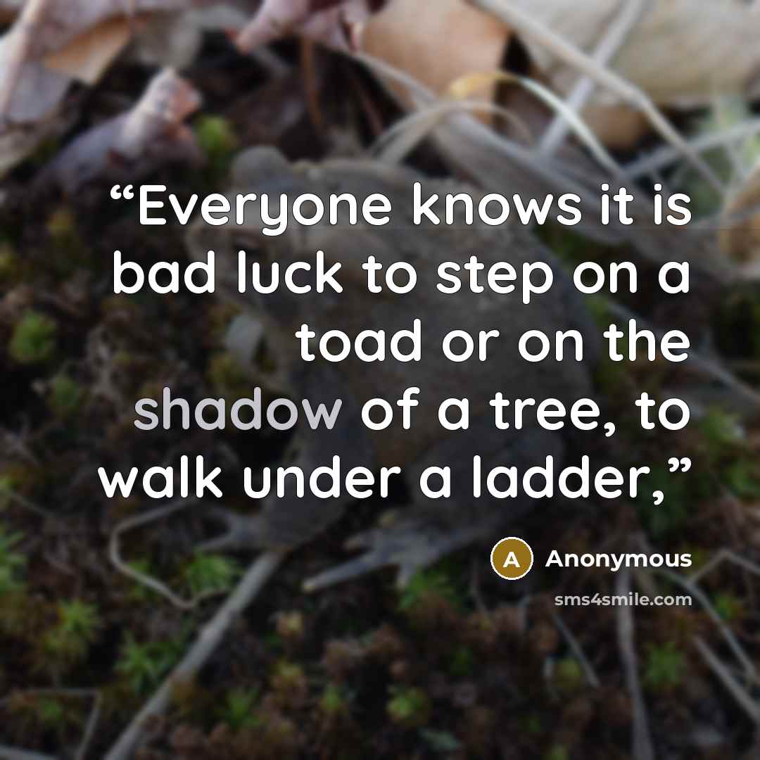 “Everyone knows it is bad luck to step on a toad or on the shadow of a tree, to walk under a ladder,” quote by Anonymous