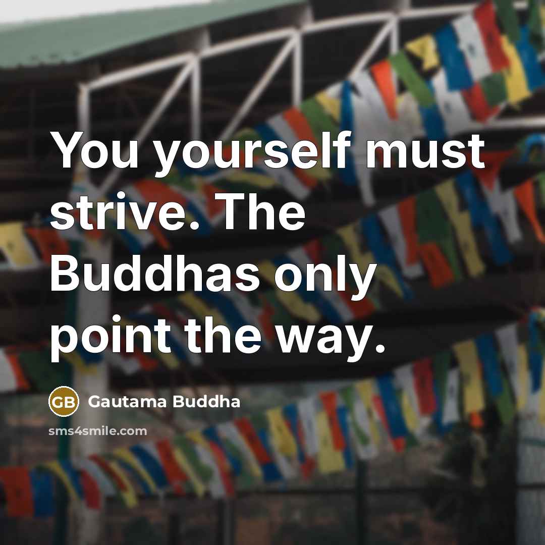 “You yourself must strive. The Buddhas only point the way.” quote by Gautama Buddha