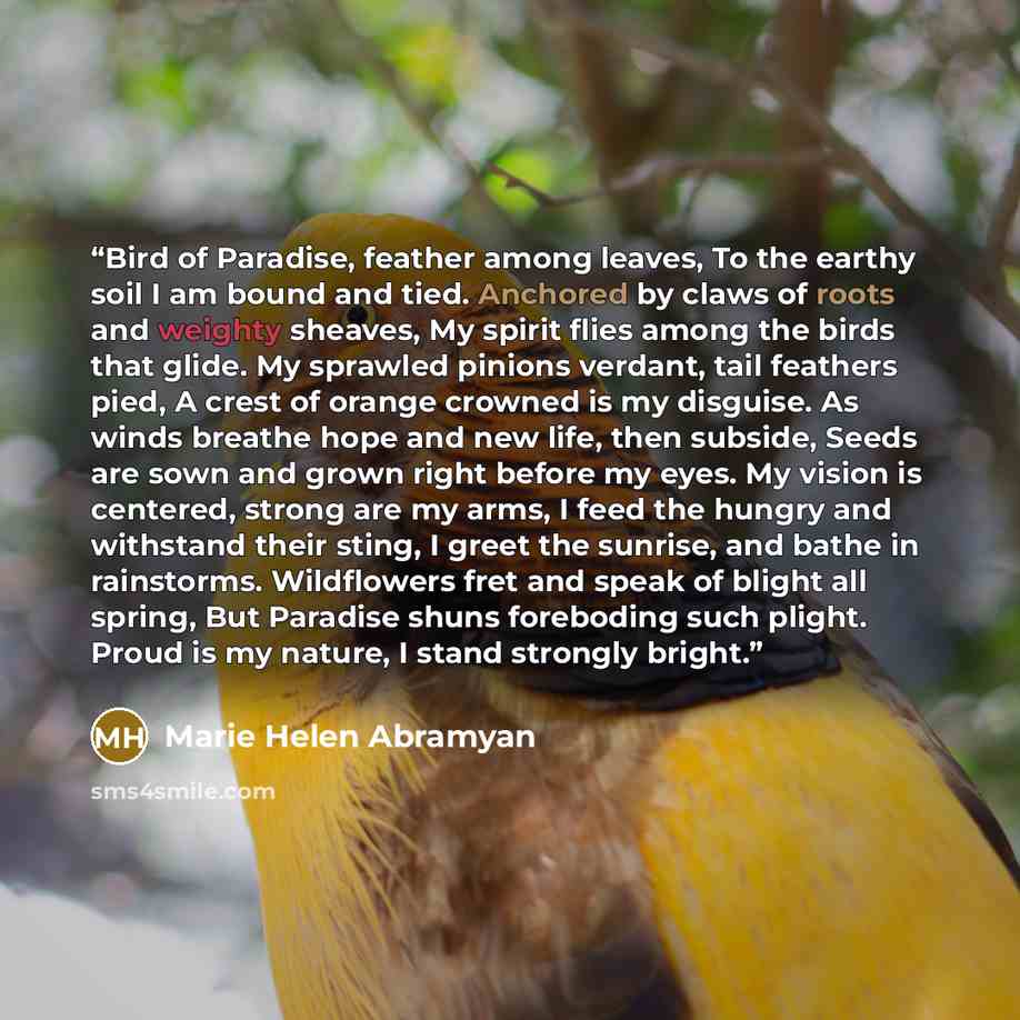 “Bird of Paradise, feather among leaves, To the earthy soil I am bound and tied. Anchored by claws of roots and weighty sheaves, My spirit flies among the birds that glide. My sprawled pinions verdant, tail feathers pied, A crest of orange crowned is my disguise. As winds breathe hope and new life…” quote by Marie Helen Abramyan