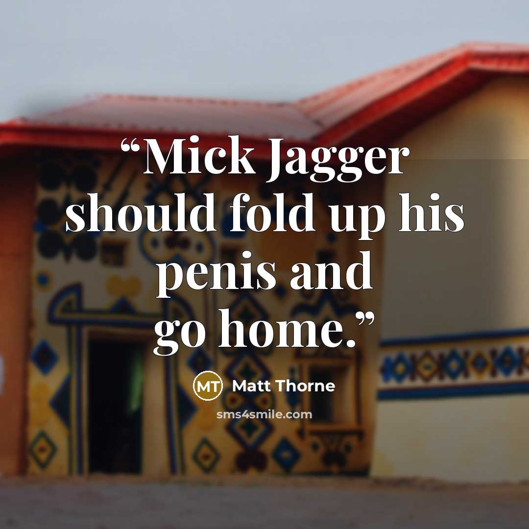 “Mick Jagger should fold up his penis and go home.” quote by Matt Thorne
