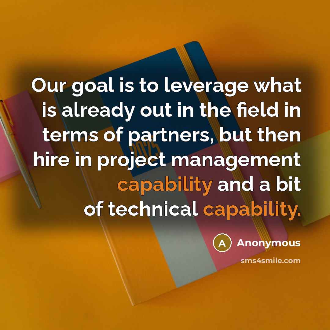 “Our goal is to leverage what is already out in the field in terms of partners, but then hire in project management capability and a bit of technical capability.” quote by Anonymous