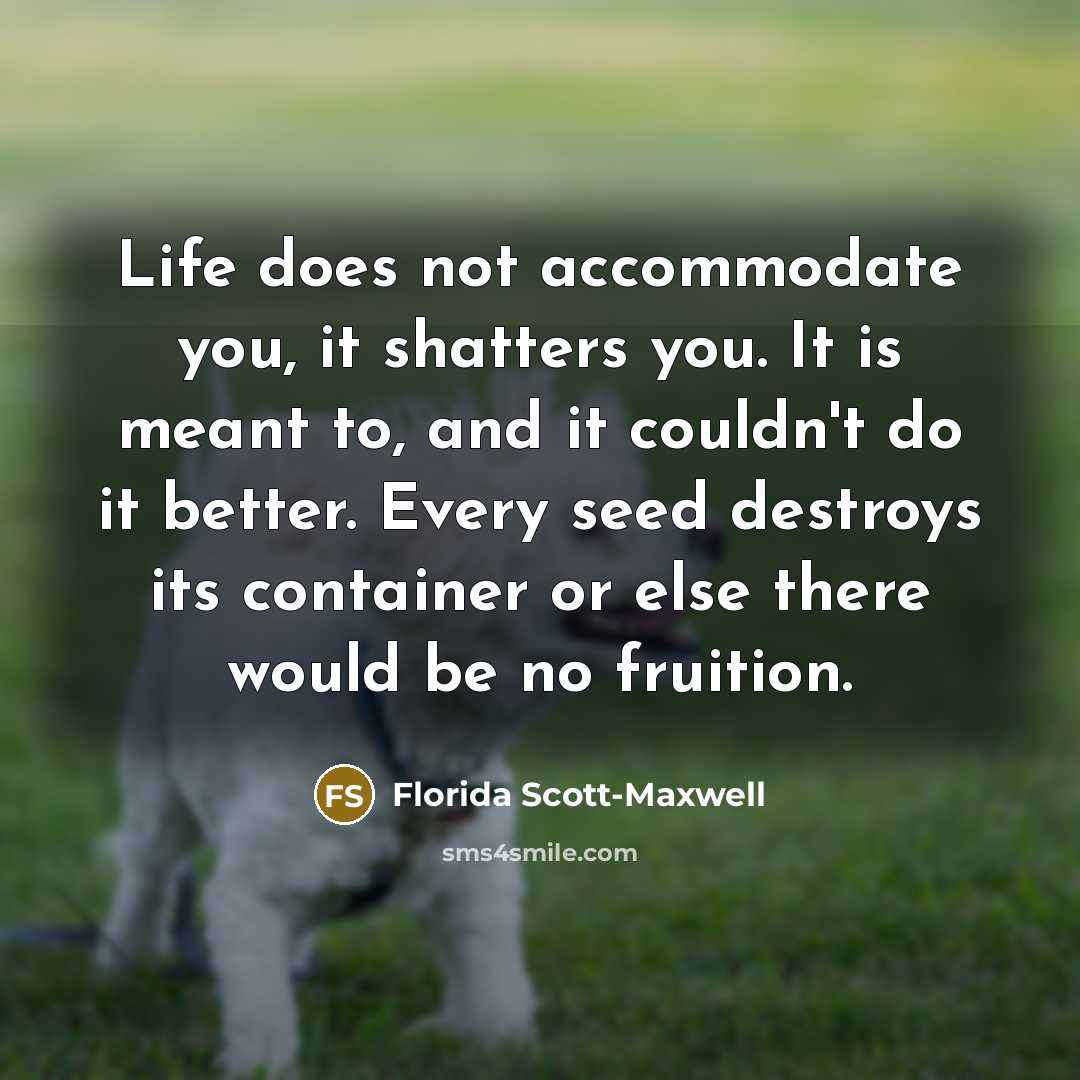 “Life does not accommodate you, it shatters you. It is meant to, and it couldn't do it better. Every seed destroys its container or else there would be no fruition.” quote by Florida Scott-Maxwell