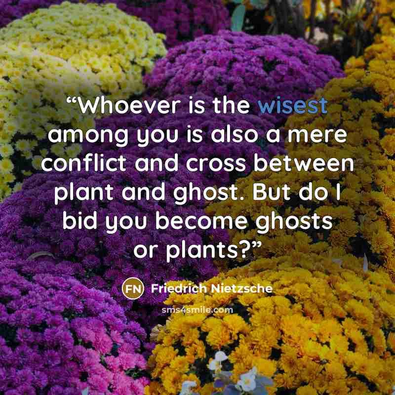 “Whoever is the wisest among you is also a mere conflict and cross between plant and ghost. But do I bid you become ghosts or plants?” quote by Friedrich Nietzsche