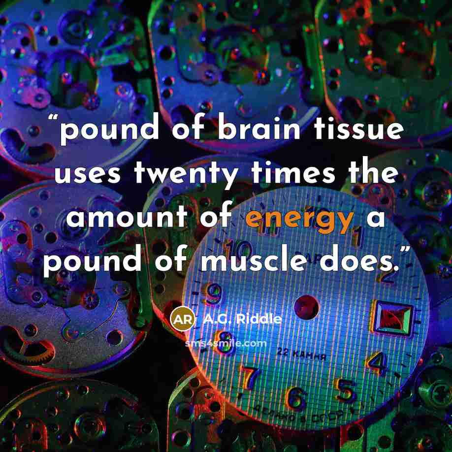 “pound of brain tissue uses twenty times the amount of energy a pound of muscle does.” quote by A.G. Riddle