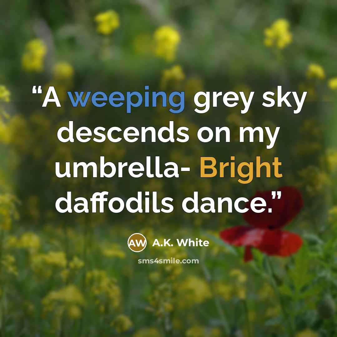 “A weeping grey sky descends on my umbrella- Bright daffodils dance.” quote by A.K. White
