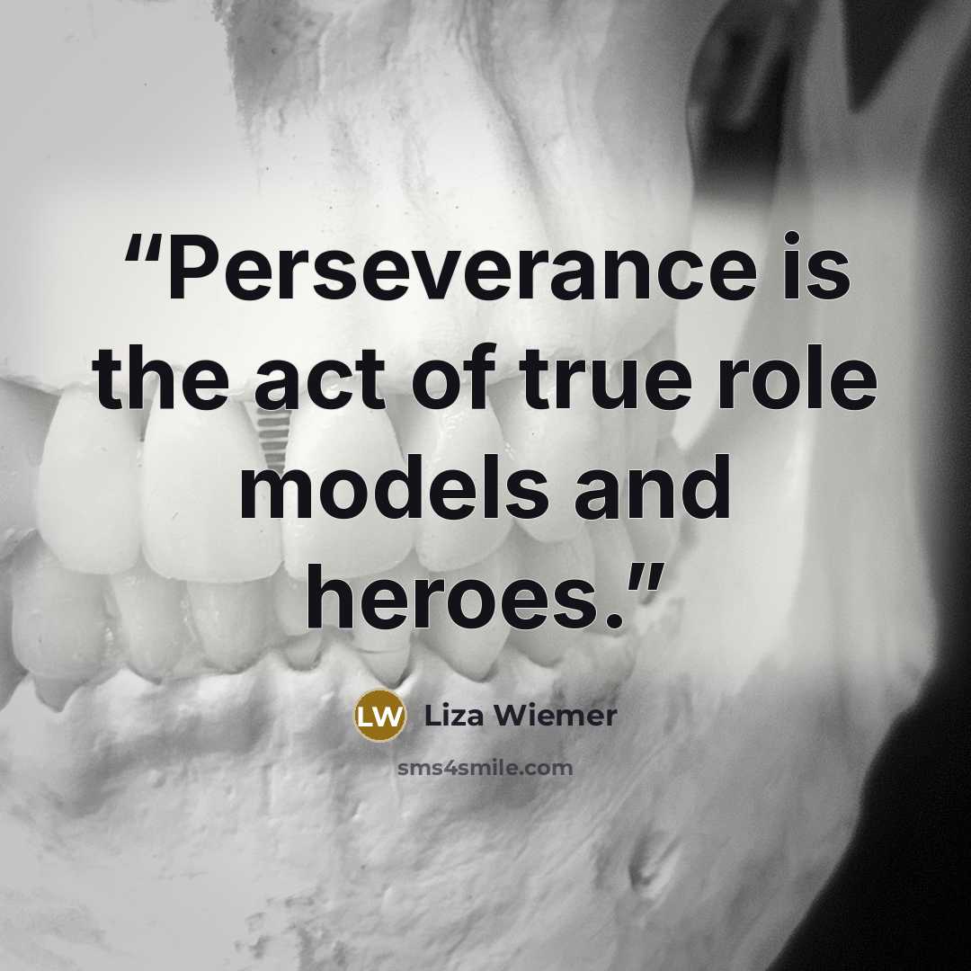 “Perseverance is the act of true role models and heroes.” quote by Liza Wiemer