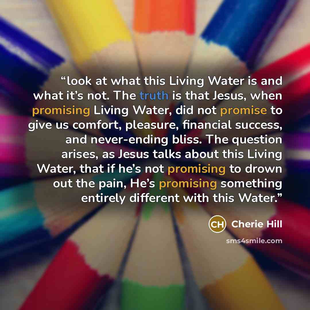 “look at what this Living Water is and what it’s not. The truth is that Jesus, when promising Living Water, did not promise to give us comfort, pleasure, financial success, and never-ending bliss. The question arises, as Jesus talks about this Living Water, that if he’s not promising to drown out…” quote by Cherie Hill