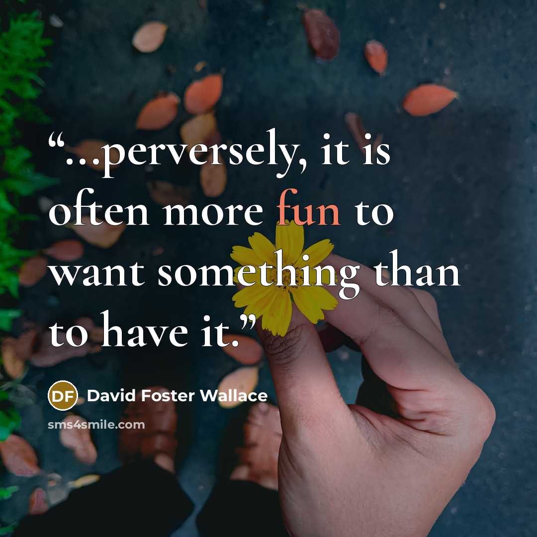 “...perversely, it is often more fun to want something than to have it.” quote by David Foster Wallace