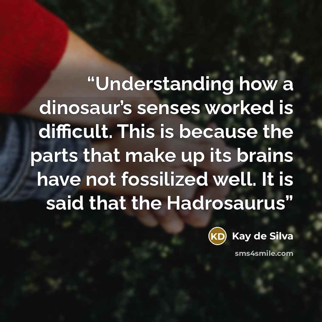 “Understanding how a dinosaur’s senses worked is difficult. This is because the parts that make up its brains have not fossilized well. It is said that the Hadrosaurus” quote by Kay de Silva