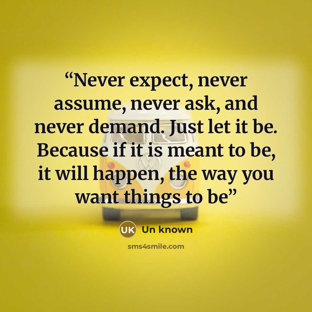 “Never expect, never assume, never ask, and never demand. Just let it be. Because if it is meant to be, it will happen, the way you want things to be” quote by Un known
