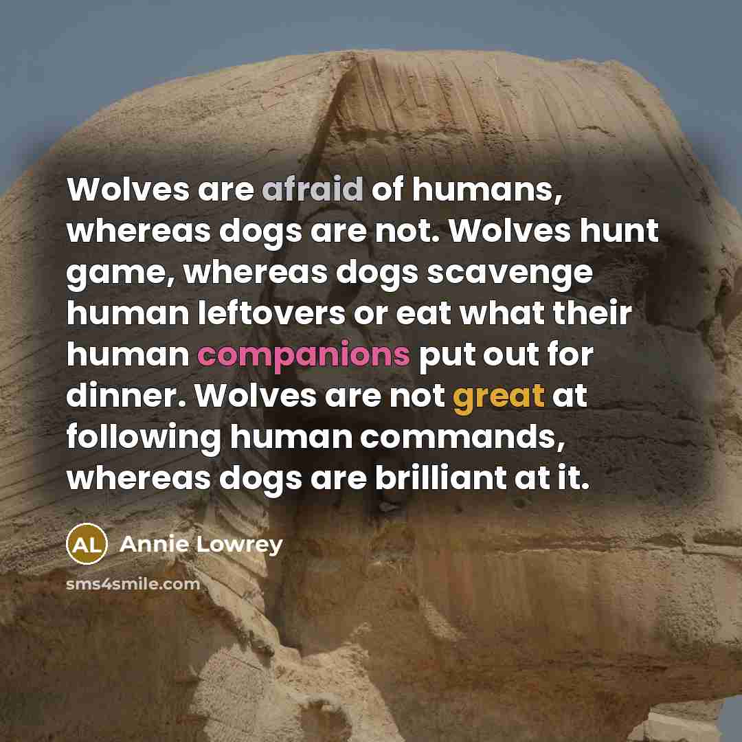 “Wolves are afraid of humans, whereas dogs are not. Wolves hunt game, whereas dogs scavenge human leftovers or eat what their human companions put out for dinner. Wolves are not great at following human commands, whereas dogs are brilliant at it.” quote by Annie Lowrey