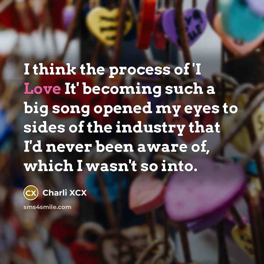 “I think the process of 'I Love It' becoming such a big song opened my eyes to sides of the industry that I'd never been aware of, which I wasn't so into.” quote by Charli XCX