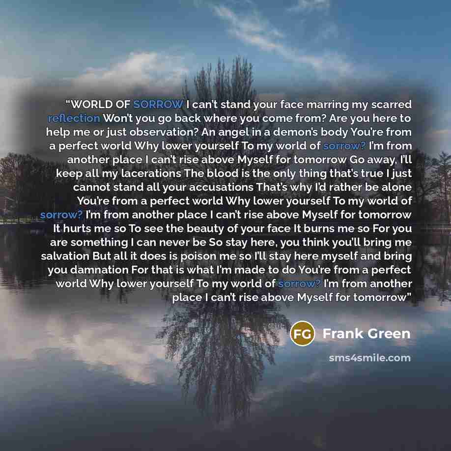 “WORLD OF SORROW I can’t stand your face marring my scarred reflection Won’t you go back where you come from? Are you here to help me or just observation? An angel in a demon’s body You’re from a perfect world Why lower yourself To my world of sorrow? I’m from another place I can’t rise above…” quote by Frank Green